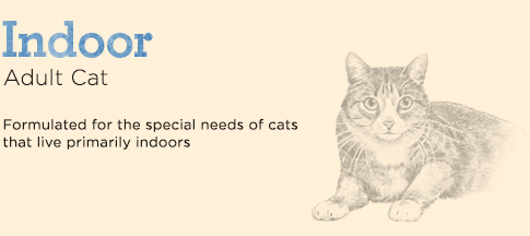 eagle pack indoor cat food