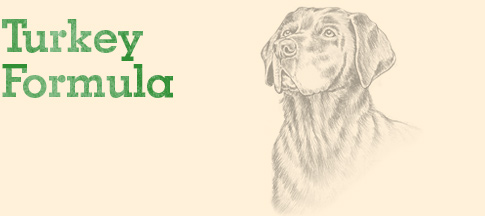 eagle pack canned dog food