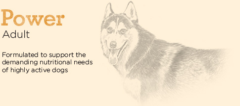 eagle pack power dog food review